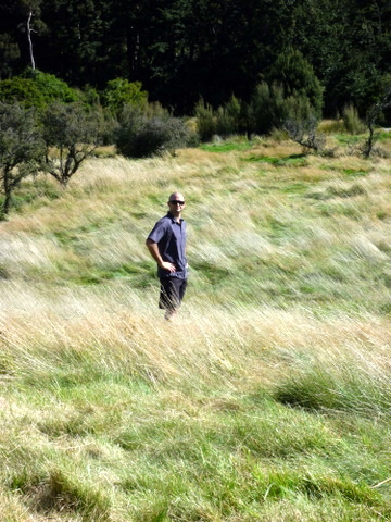 Disc Golf New Zealand